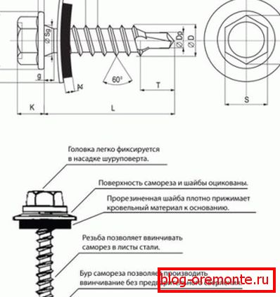 Structura șurubului de acoperire