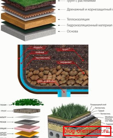 Schema placajului de acoperișuri de legume de diferite tipuri