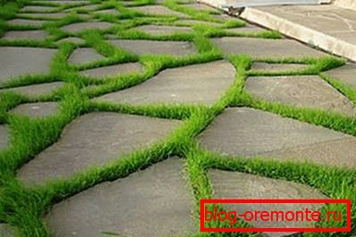 Fotografia unui strat atractiv de beton și iarbă Fotografia unui strat atractiv de beton și iarbă