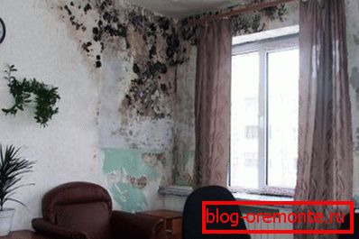 Fotografie amatoră a pereților de beton afectați de ciuperci datorită umidității crescute Fotografie amatoră a pereților de beton afectați de ciuperci datorită umidității crescute