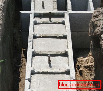 Pe o fotografie - un lemn fixat din beton pentru bază Pe o fotografie - un lemn fixat din beton pentru bază