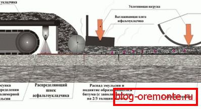 În asfaltul de fotografie. În asfaltul de fotografie.