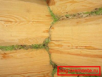 Moss procesare creuzet Moss procesare creuzet
