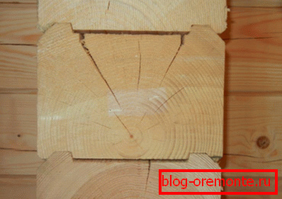 Un exemplu de fisuri în structura bustenilor Un exemplu de fisuri în structura bustenilor
