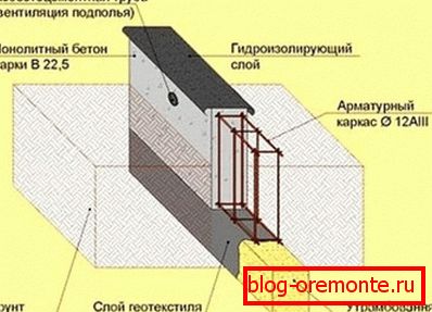 Stratul fundației Stratul fundației